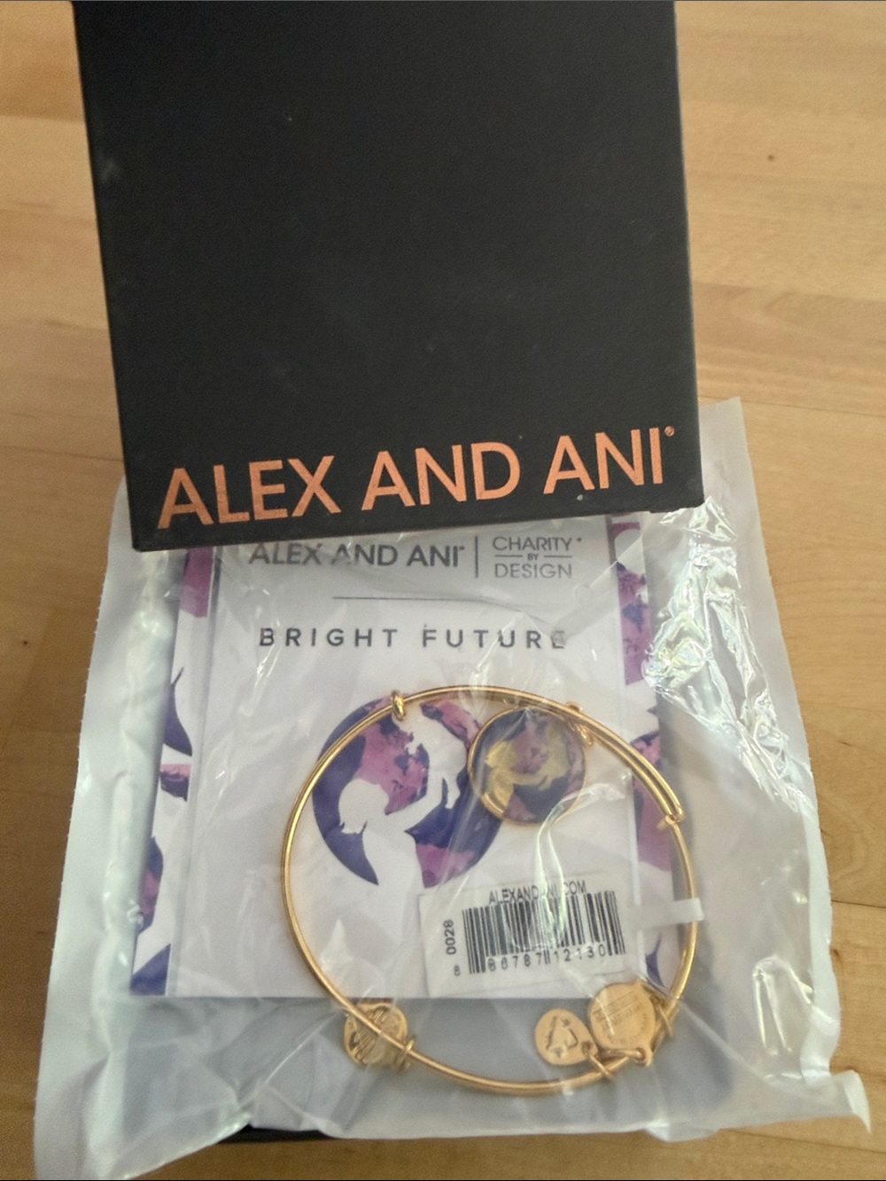 Alex and Ani Gold Bright Future Expandable Bangle Bracelet New with tags